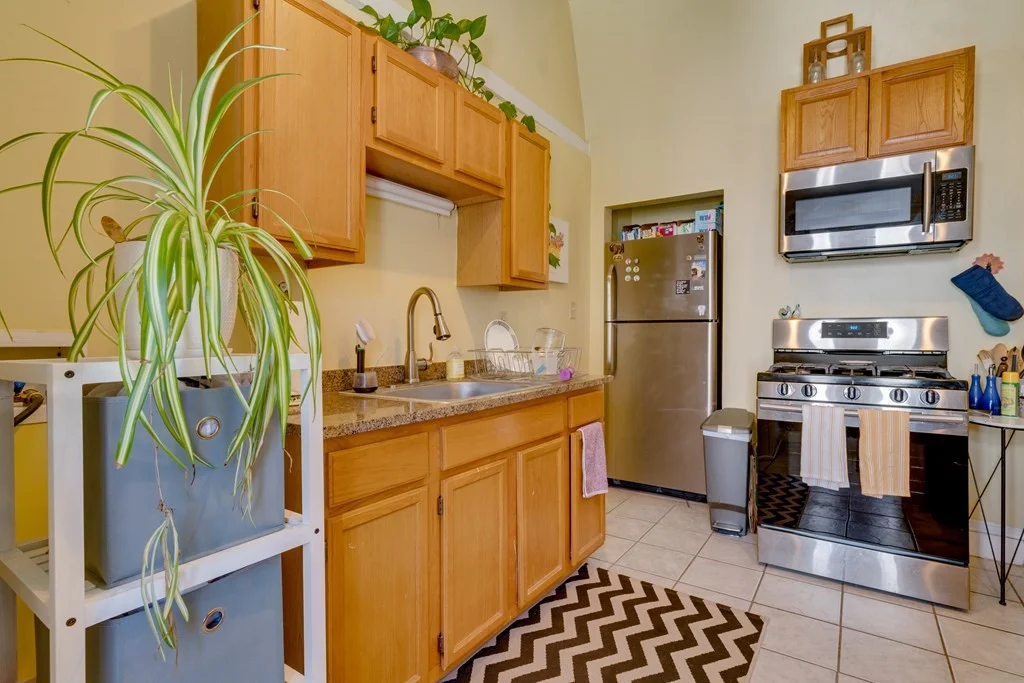2 bed, 2 bath apartment for rent at 110 Lonsdale Unit 3, Boston — photo 4 of 14