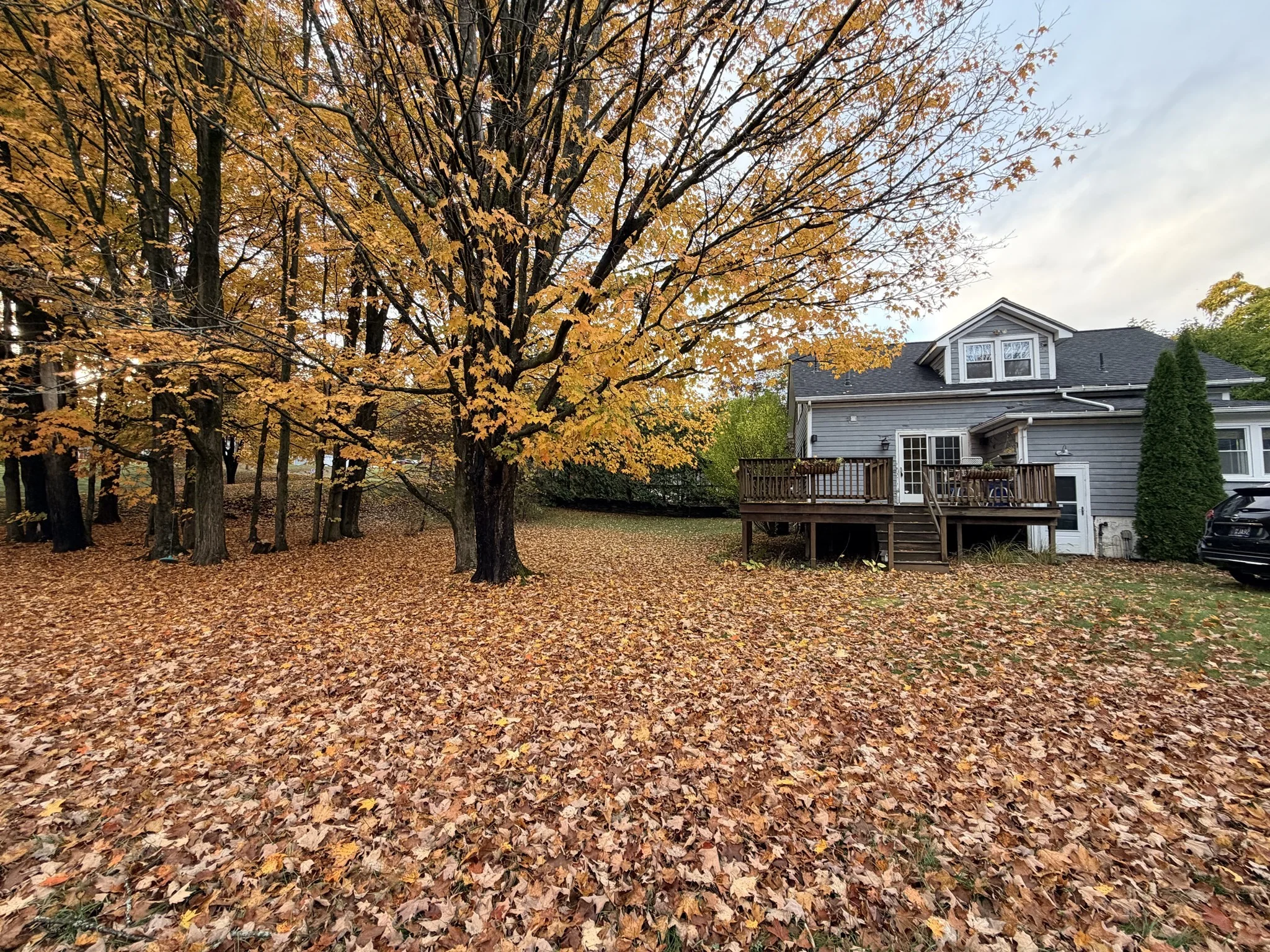 3 bed, 1 bath apartment for rent at 110 Pomeroy Meadow Rd, Southampton — photo 4 of 25
