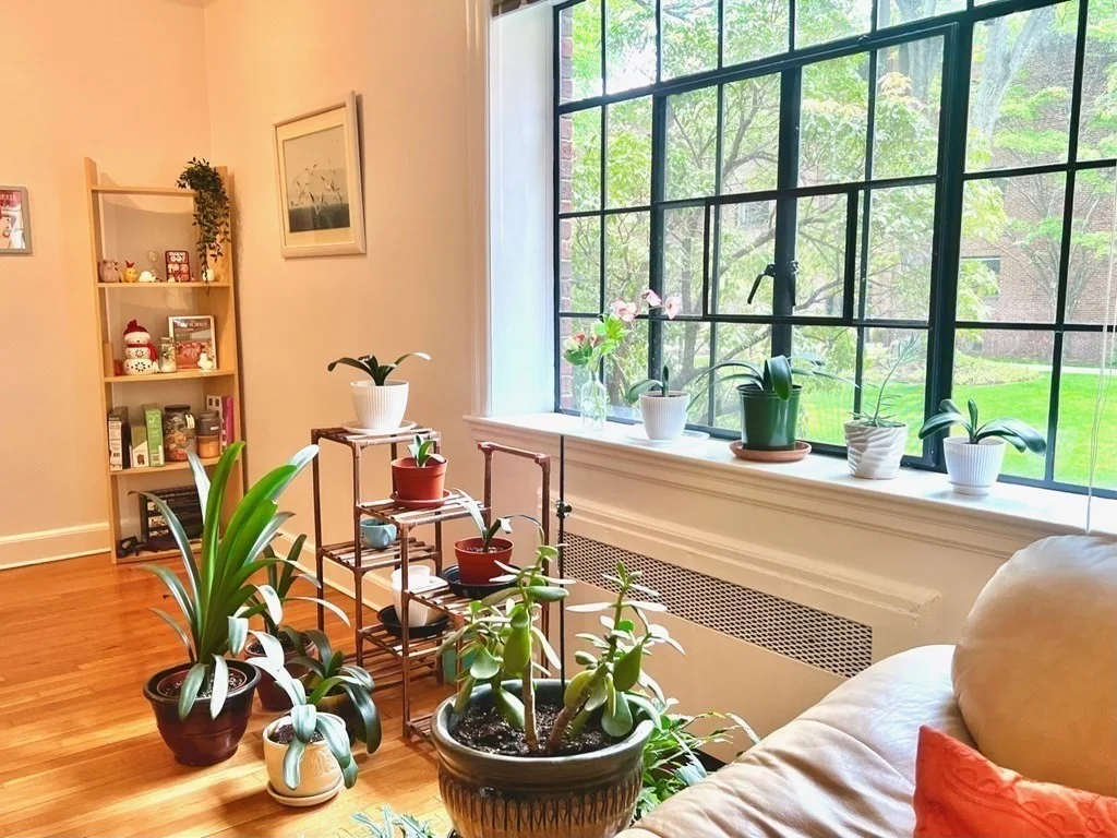 1 bed, 1 bath apartment for rent at 110 Sewall Ave Unit 1, Coolidge Corner — photo 4 of 12