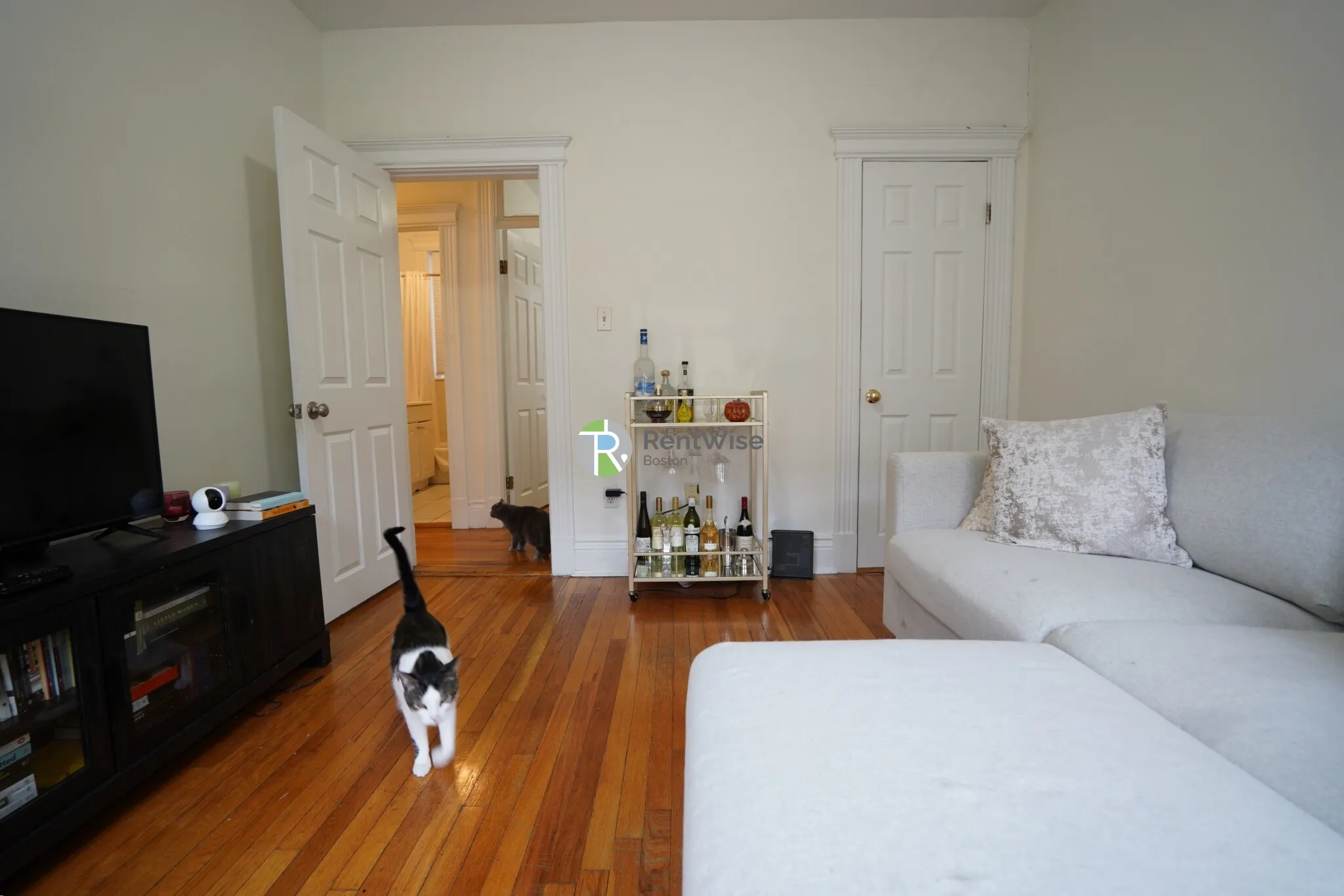 1 bed, 1 bath apartment for rent at 110 Warren St Unit 16, Brighton — photo 2 of 16