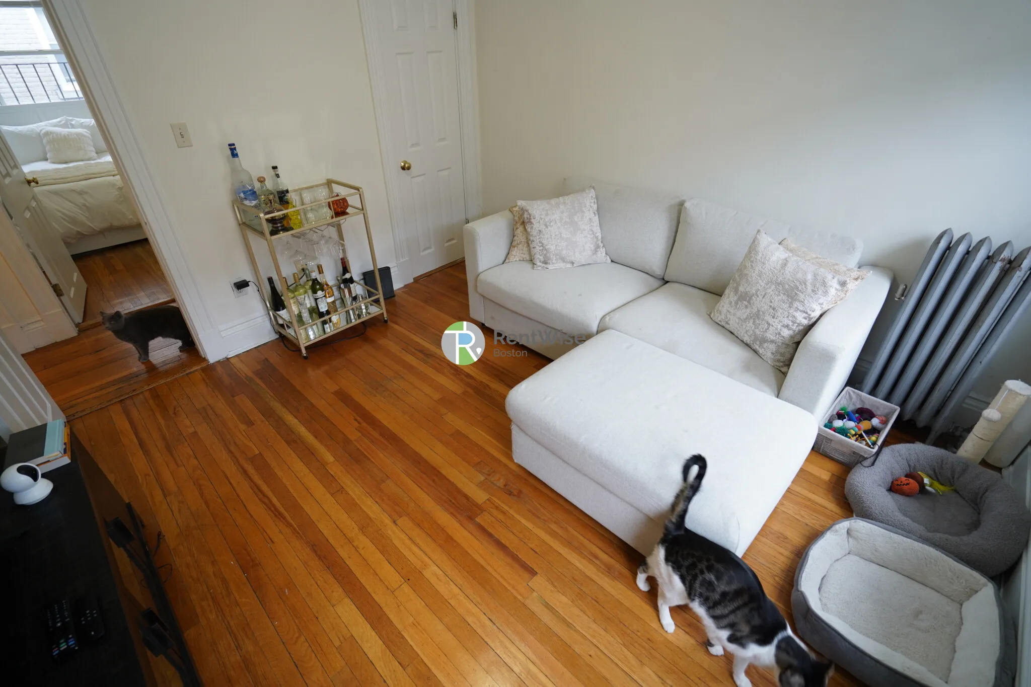1 bed, 1 bath apartment for rent at 110 Warren St Unit 16, Brighton — photo 3 of 16