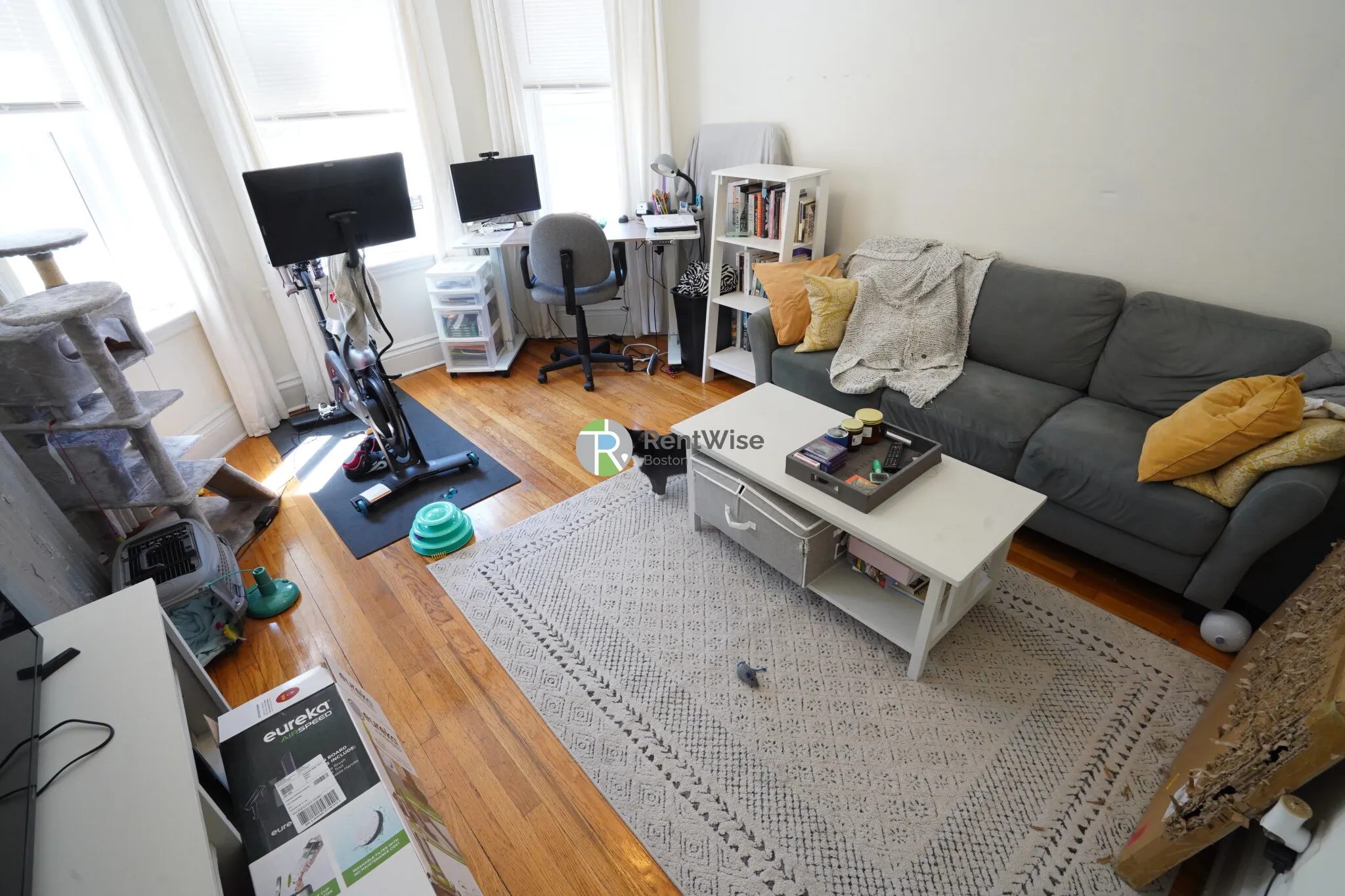 1 bed, 1 bath apartment for rent at 110 Warren St Unit 7, Brighton — photo 3 of 18
