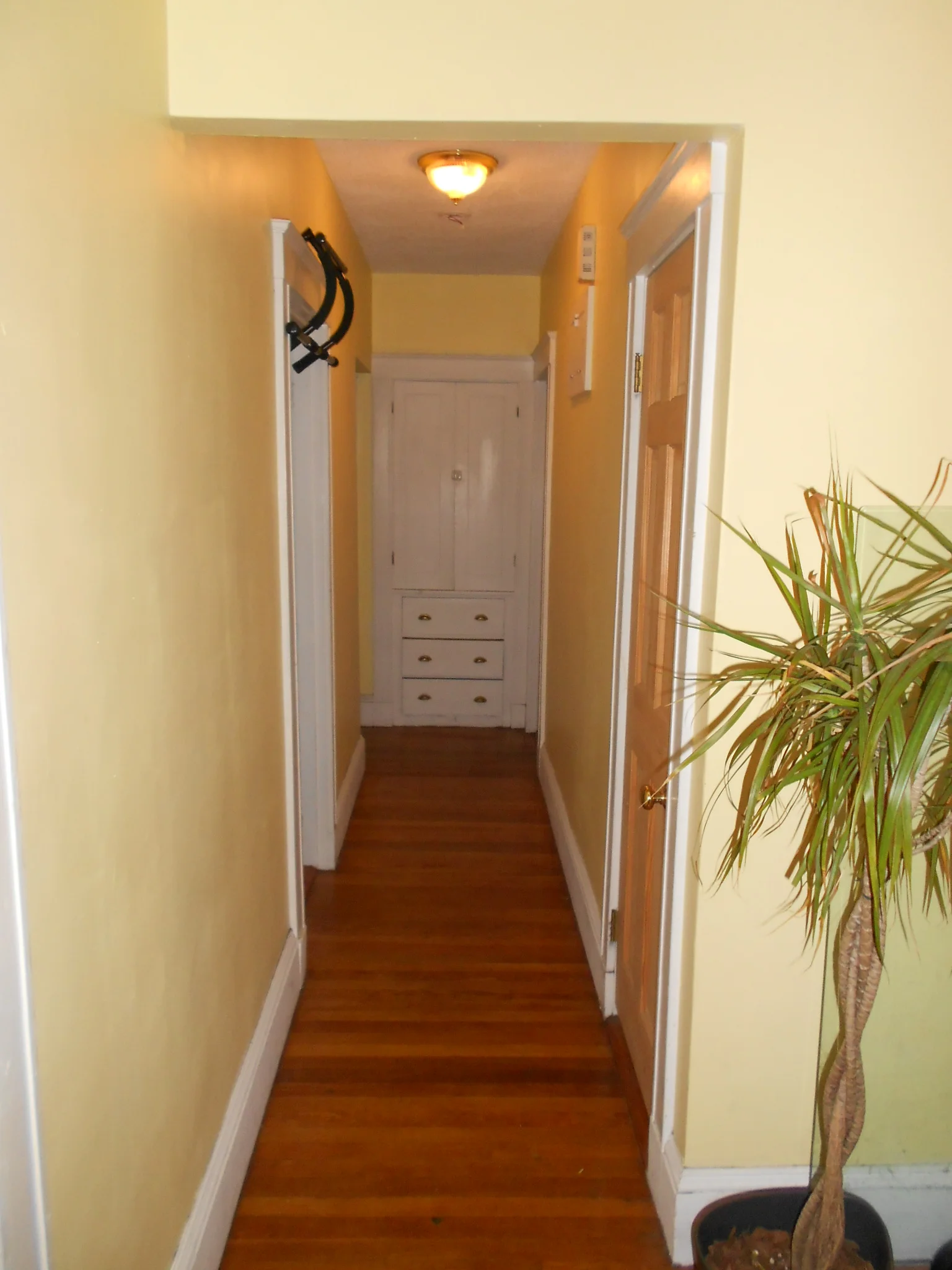4 bed, 1 bath apartment for rent at 110 Winchester St Unit 1, North Brookline — photo 9 of 10