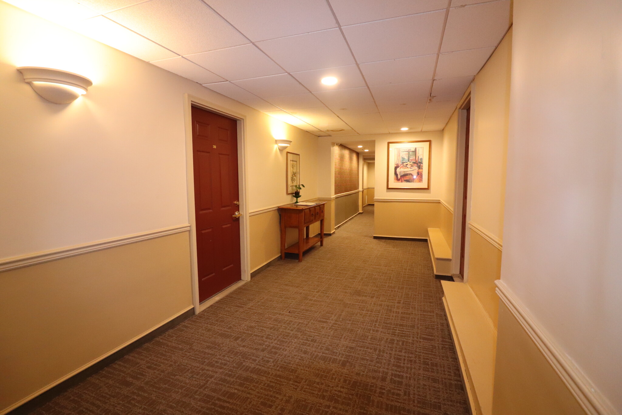 2 bed, 1 bath apartment for rent at 1100 Beacon St Unit 2D, Brookline — photo 15 of 16