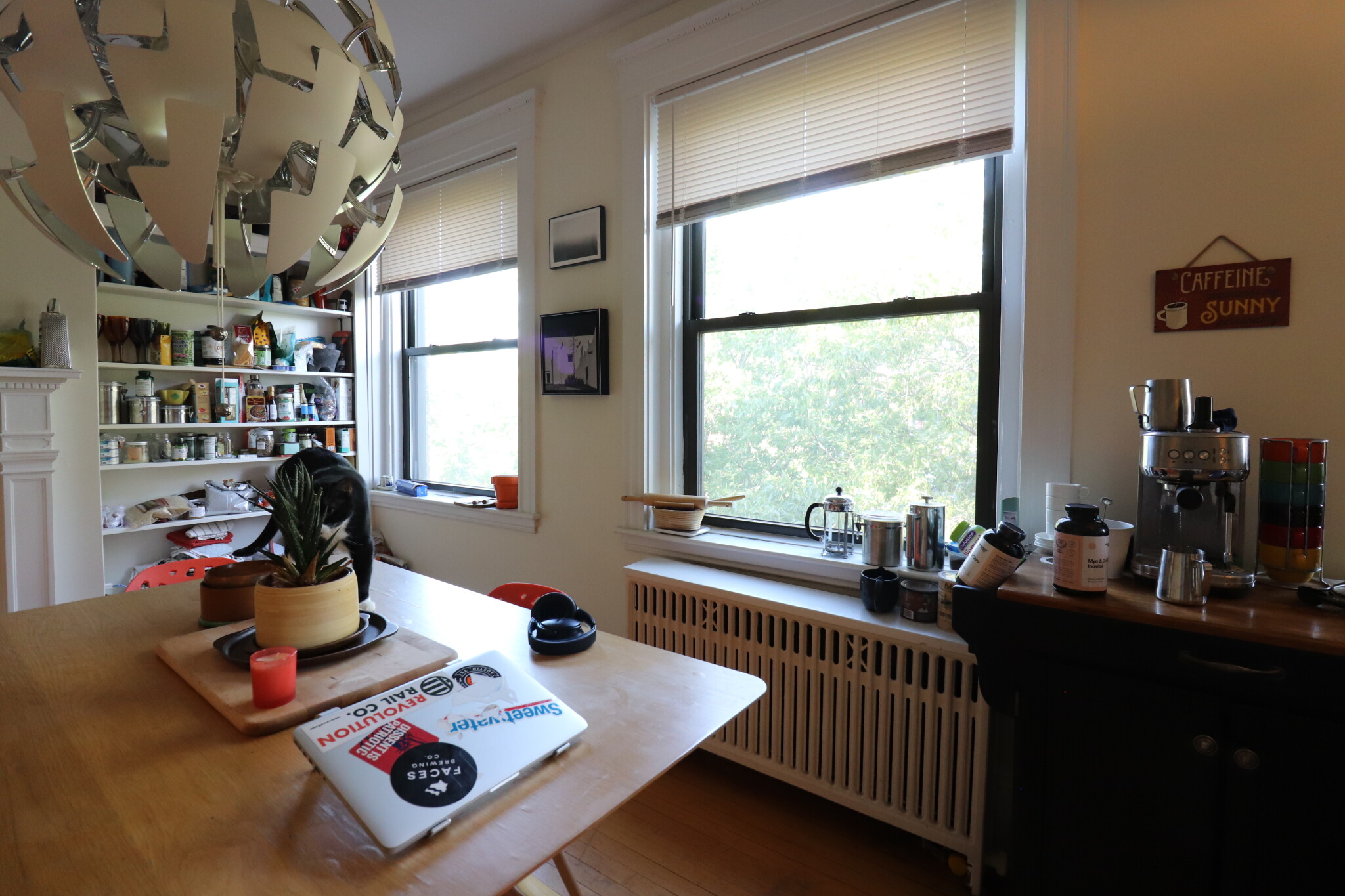 2 bed, 1 bath apartment for rent at 1100 Beacon St Unit 4A, Brookline — photo 4 of 23