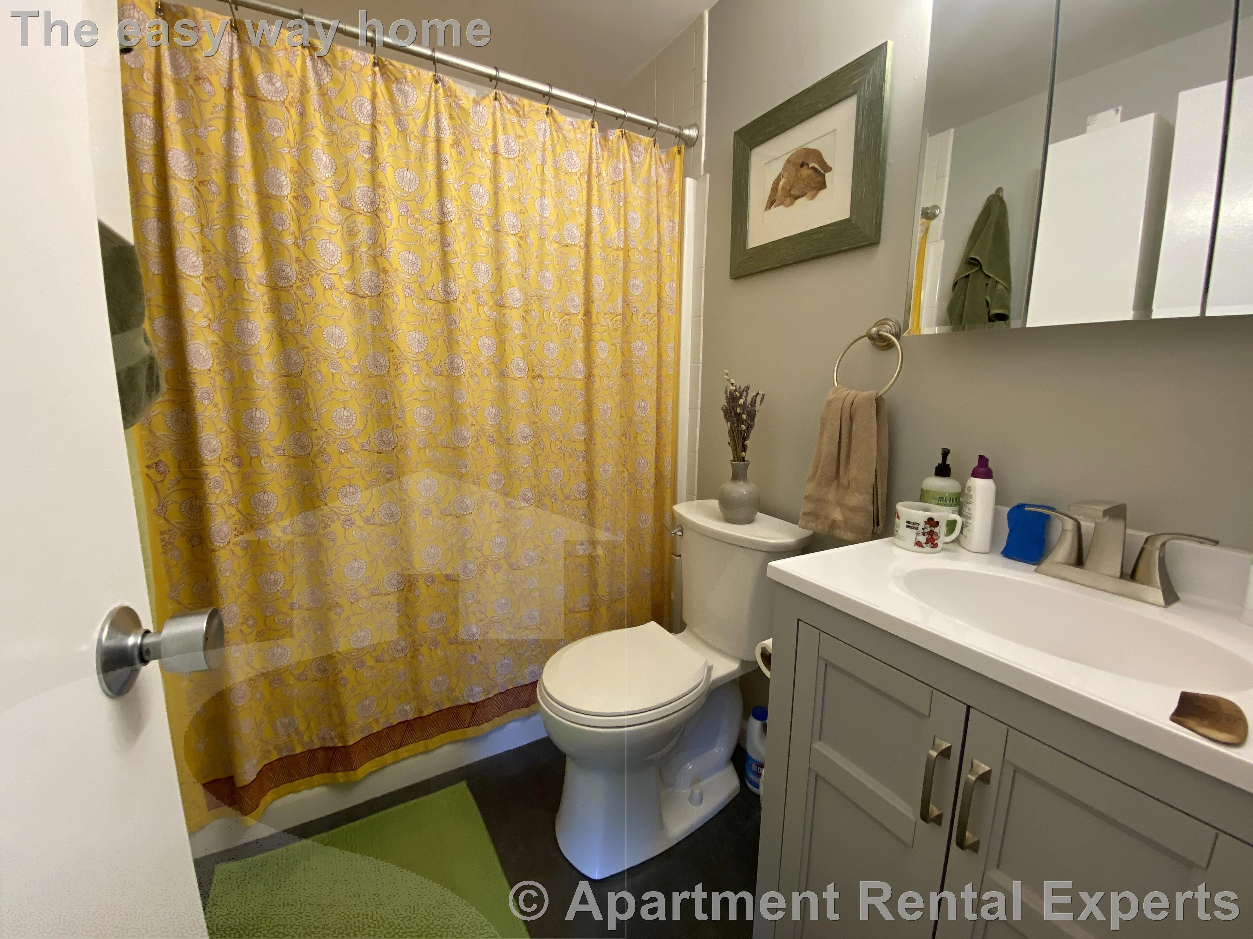1 bed, 1 bath apartment for rent at 1105 Massachusetts Ave Unit 5B, Harvard Square — photo 3 of 9