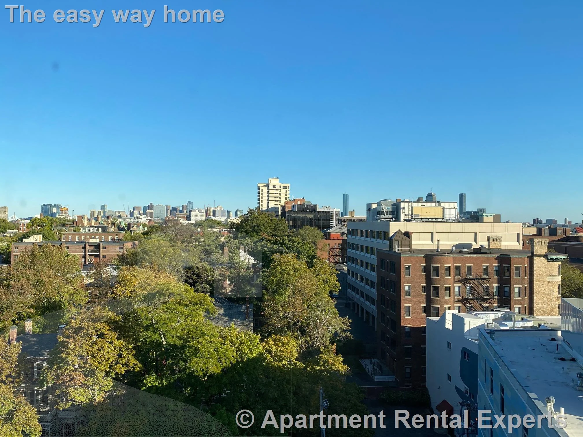 1 bed, 1 bath apartment for rent at 1105 Massachusetts Ave Unit 8H, Harvard Square — photo 14 of 14