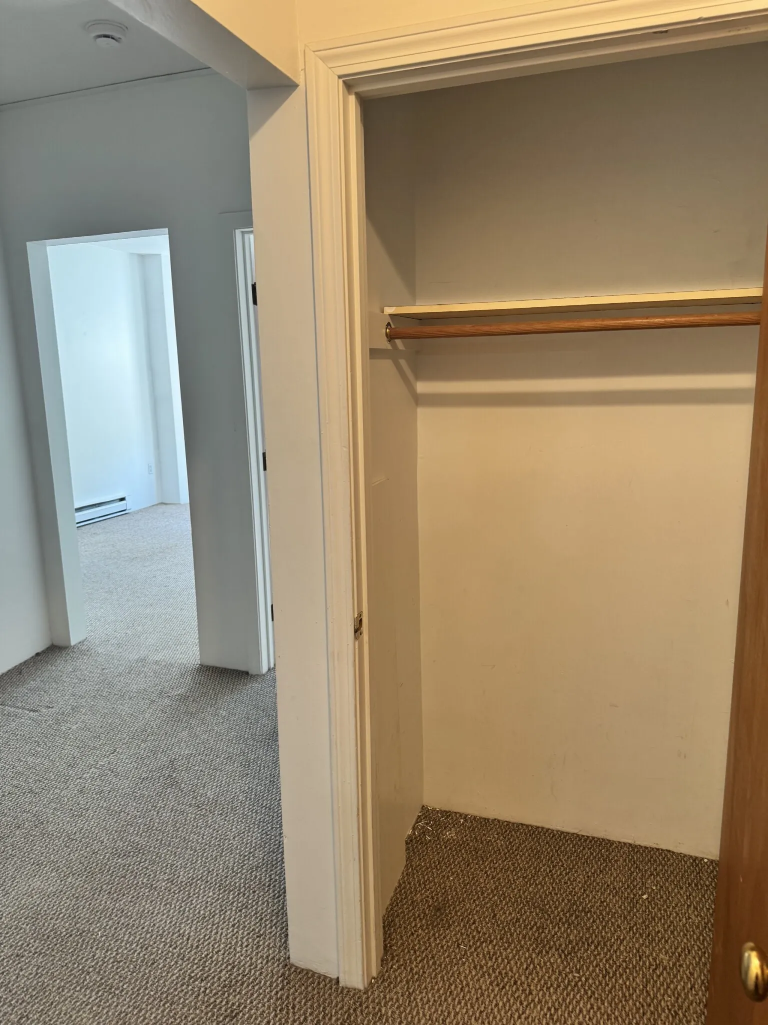1 bed, 1 bath apartment for rent at 111 Norway St Unit 302, Fenway — photo 8 of 20