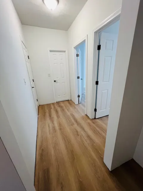 2 bed, 1 bath apartment for rent at 111 Norway St Unit 305, Fenway — photo 25 of 34