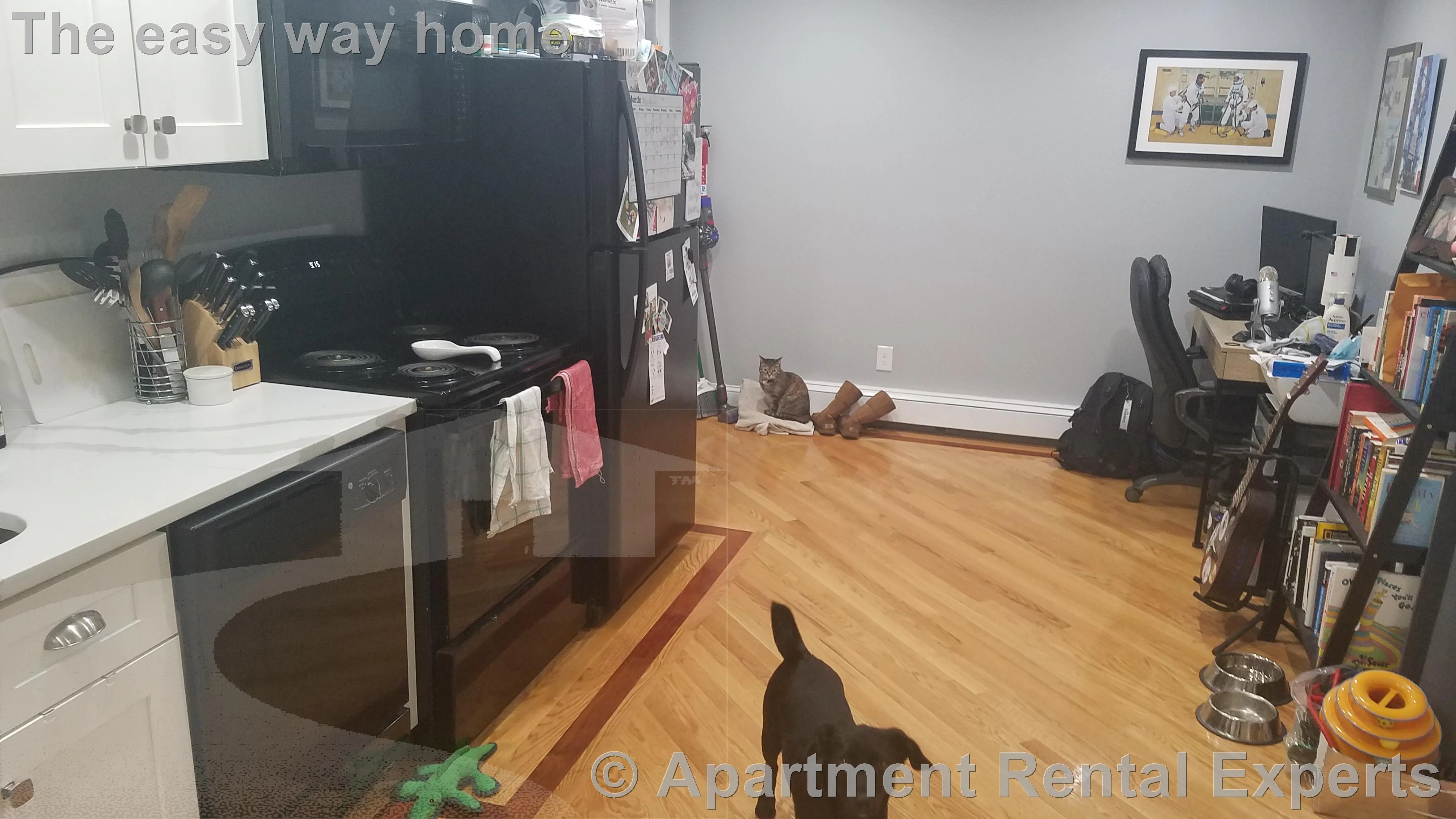 1 bed, 1 bath apartment for rent at 111 Sciarappa St Unit 5, East Cambridge — photo 2 of 9