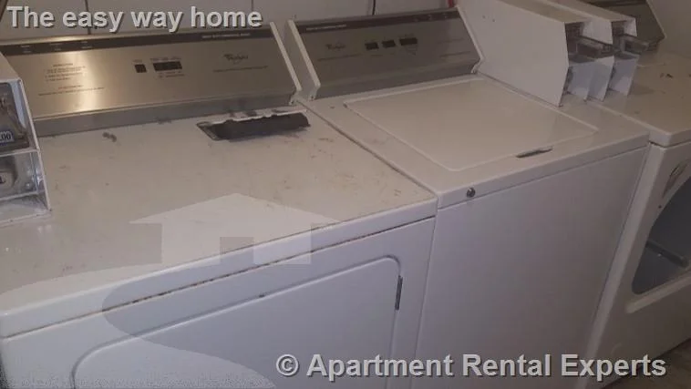 1 bed, 1 bath apartment for rent at 111 Sciarappa St Unit 5, East Cambridge — photo 7 of 9