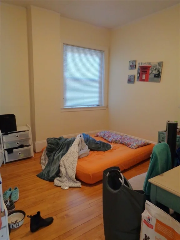 2 bed, 1 bath apartment for rent at 1110 Beacon St Unit 2D, Brookline — photo 5 of 7