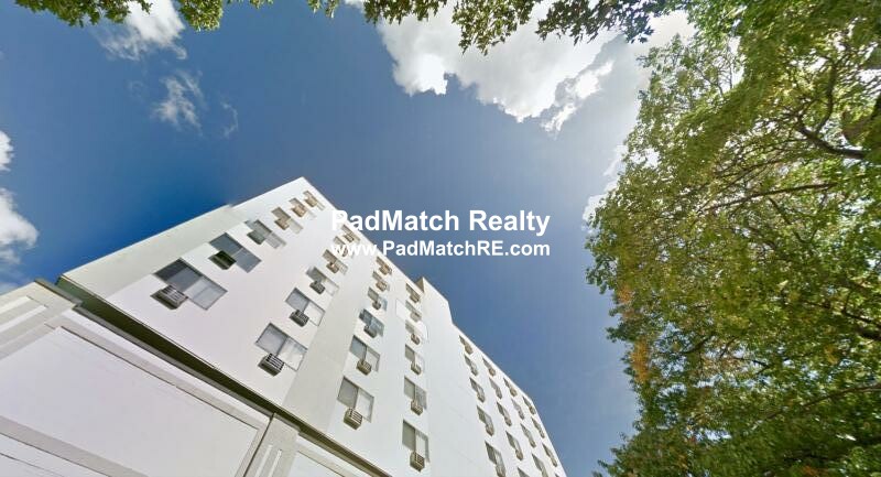 Studio bed, 1 bath apartment for rent at 1110 Commonwealth Ave Unit B1, Brighton — photo 4 of 9