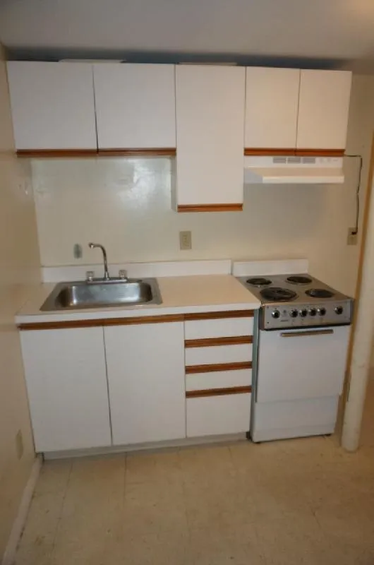 Studio bed, 1 bath apartment for rent at 1114 Commonwealth Ave Unit B1, Allston — photo 3 of 8