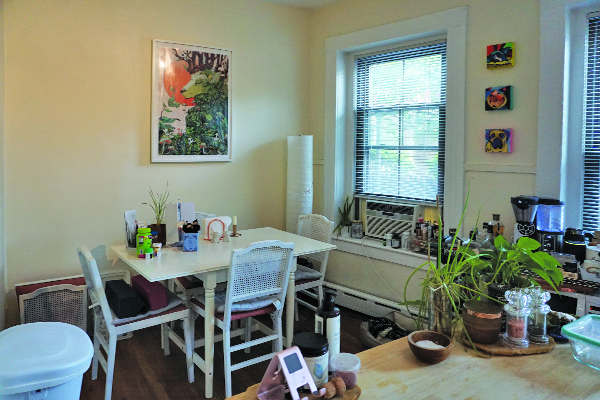 1 bed, 1 bath apartment for rent at 112 Willow St Unit 112-01, Wellington-Harrington — photo 2 of 8