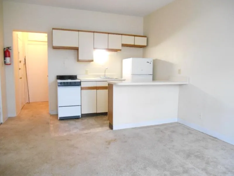 Studio bed, 1 bath apartment for rent at 1124 Commonwealth Ave Unit 5, Allston — photo 6 of 14
