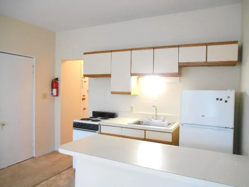 Studio bed, 1 bath apartment for rent at 1124 Commonwealth Ave Unit 5, Allston — photo 5 of 14