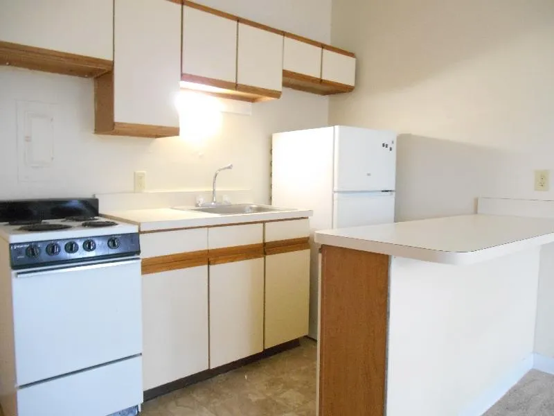 Studio bed, 1 bath apartment for rent at 1124 Commonwealth Ave Unit 5, Allston — photo 4 of 14