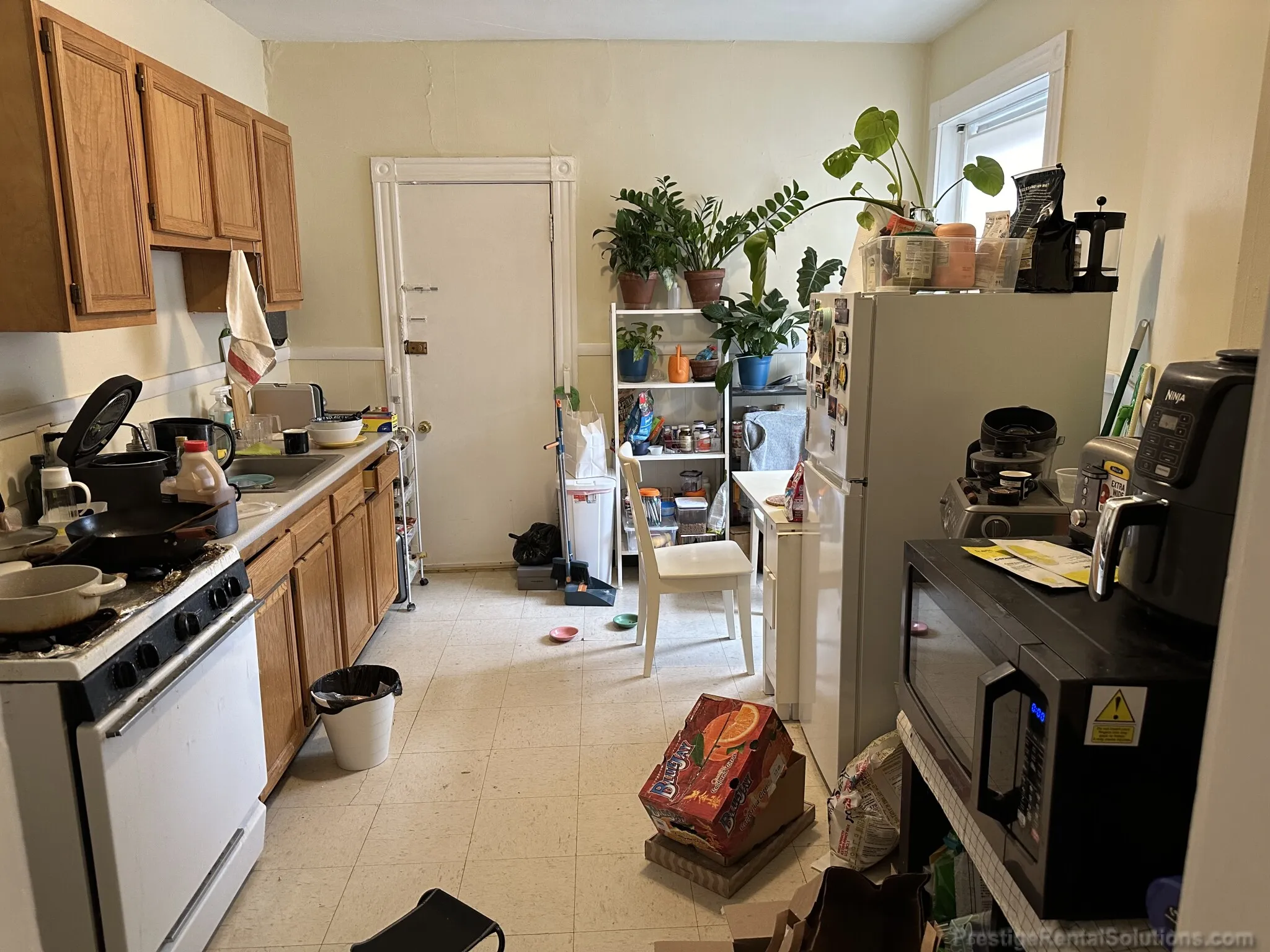 1 bed, 1 bath apartment for rent at 1128 Commonwealth Ave Unit 5A, Allston — photo 3 of 15