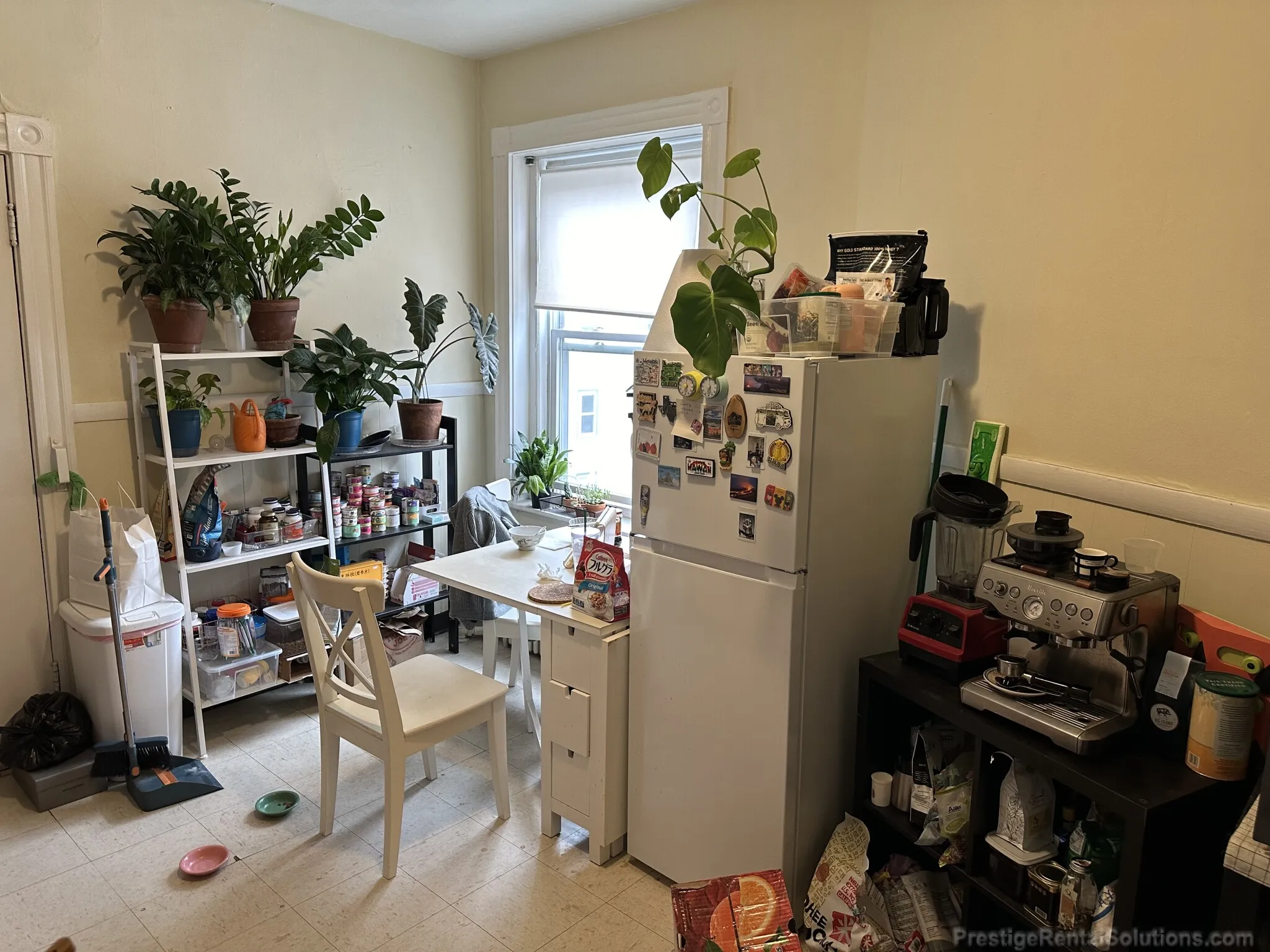 1 bed, 1 bath apartment for rent at 1128 Commonwealth Ave Unit 5A, Allston — photo 4 of 15