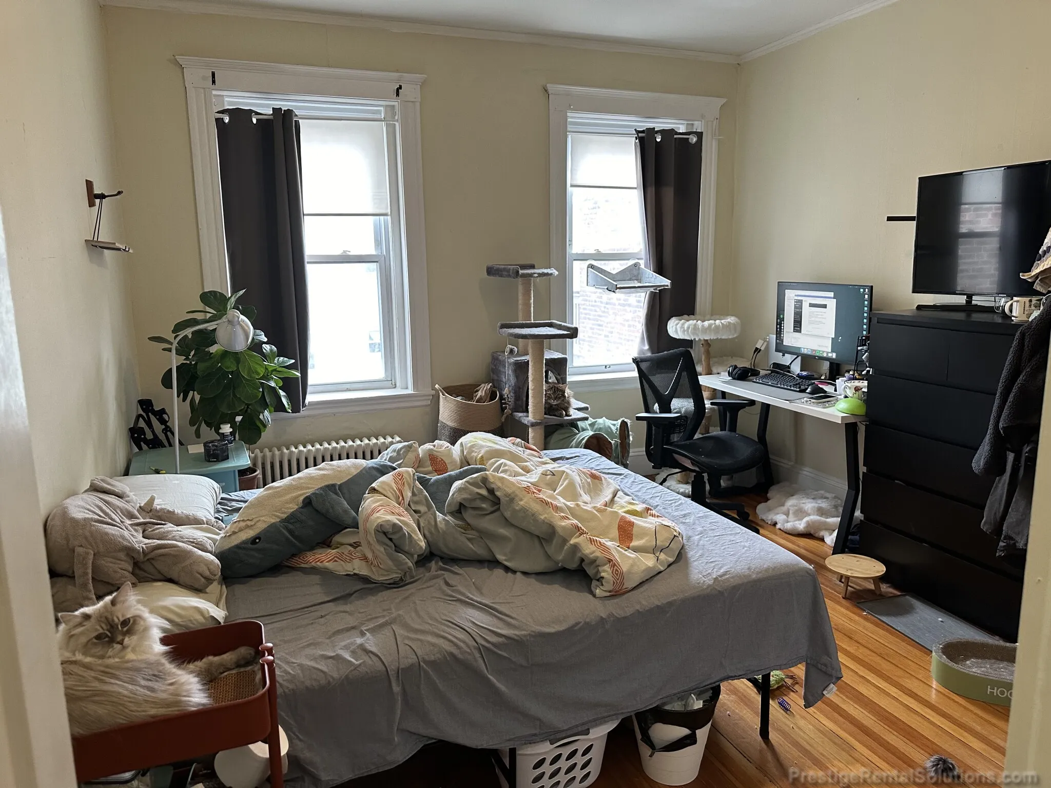 1 bed, 1 bath apartment for rent at 1128 Commonwealth Ave Unit 5A, Allston — photo 11 of 15