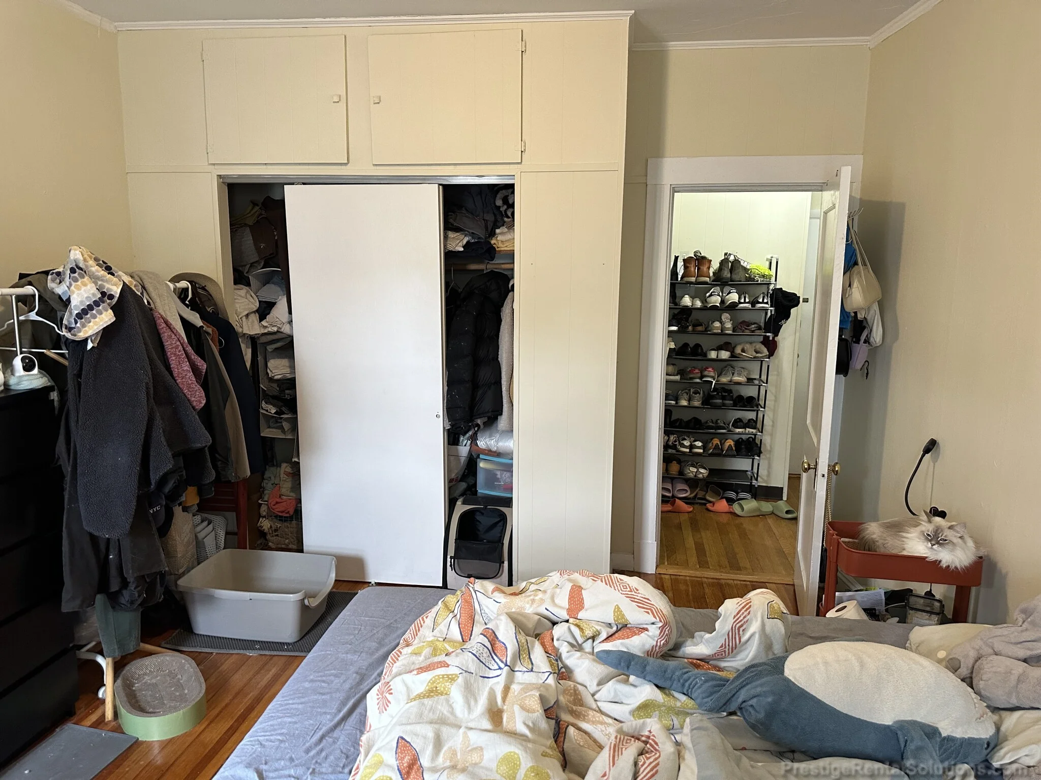 1 bed, 1 bath apartment for rent at 1128 Commonwealth Ave Unit 5A, Allston — photo 12 of 15