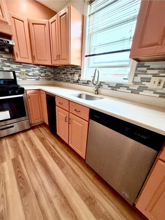2 bed, 1 bath apartment for rent at 1129 Saratoga St Unit 1, East Boston — photo 5 of 11