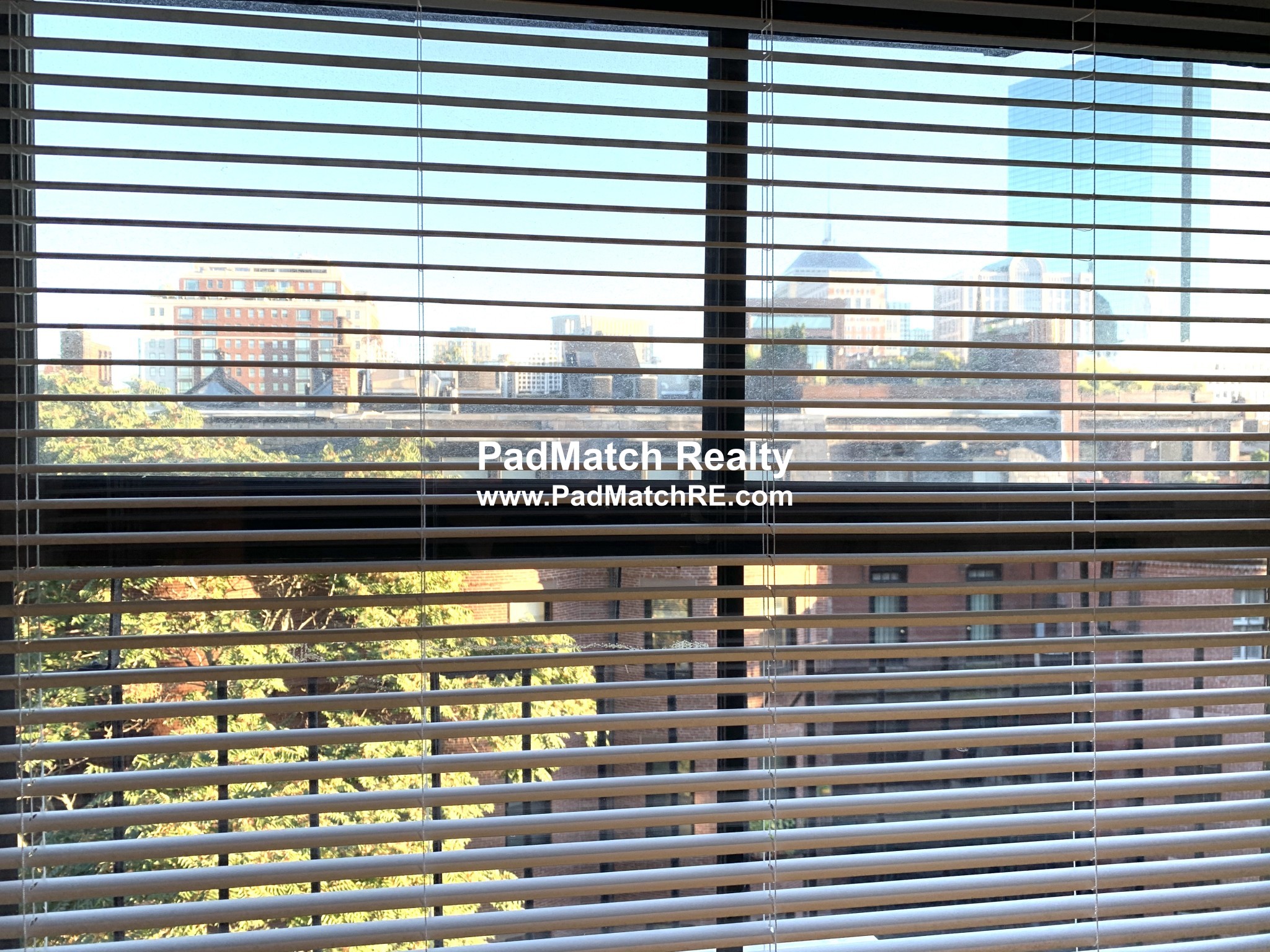 1 bed, 1 bath apartment for rent at 113 Beacon St Unit 6 Rear, Back Bay — photo 3 of 10