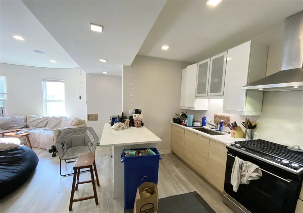 5 bed, 3 bath apartment for rent at 113 Hillside St Unit 1, Mission Hill — photo 2 of 8