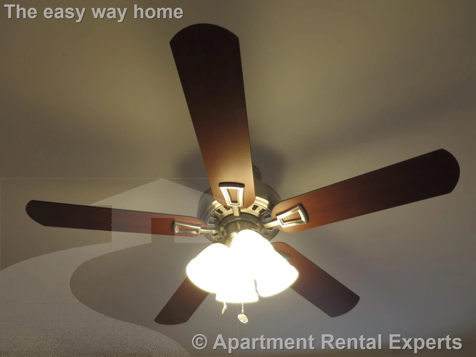 1 bed, 1 bath apartment for rent at 1131 Broadway Unit 8, Teele Square — photo 6 of 10