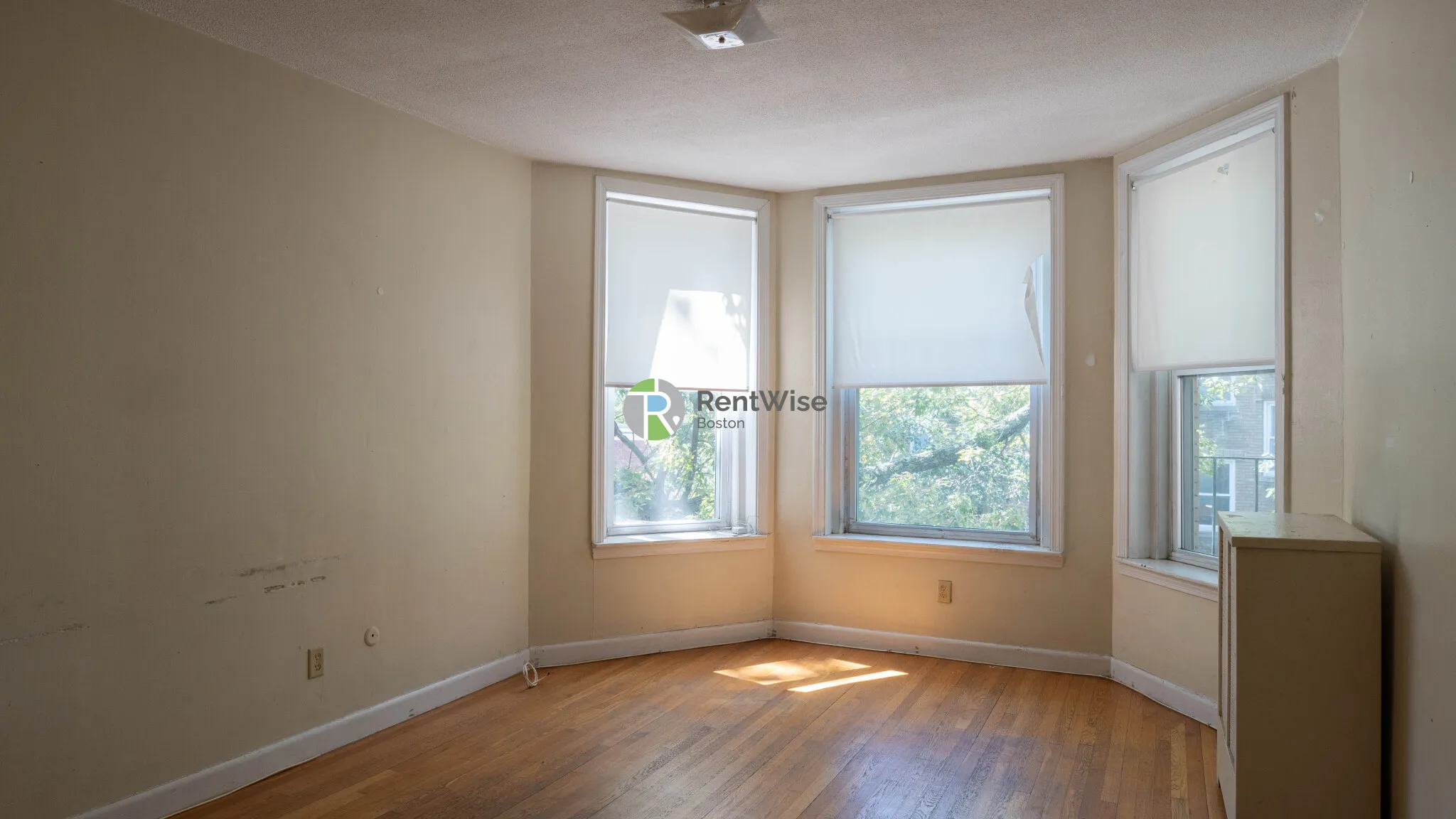 2 bed, 1 bath apartment for rent at 1132 Commonwealth Ave Unit 12, North Brookline — photo 2 of 27