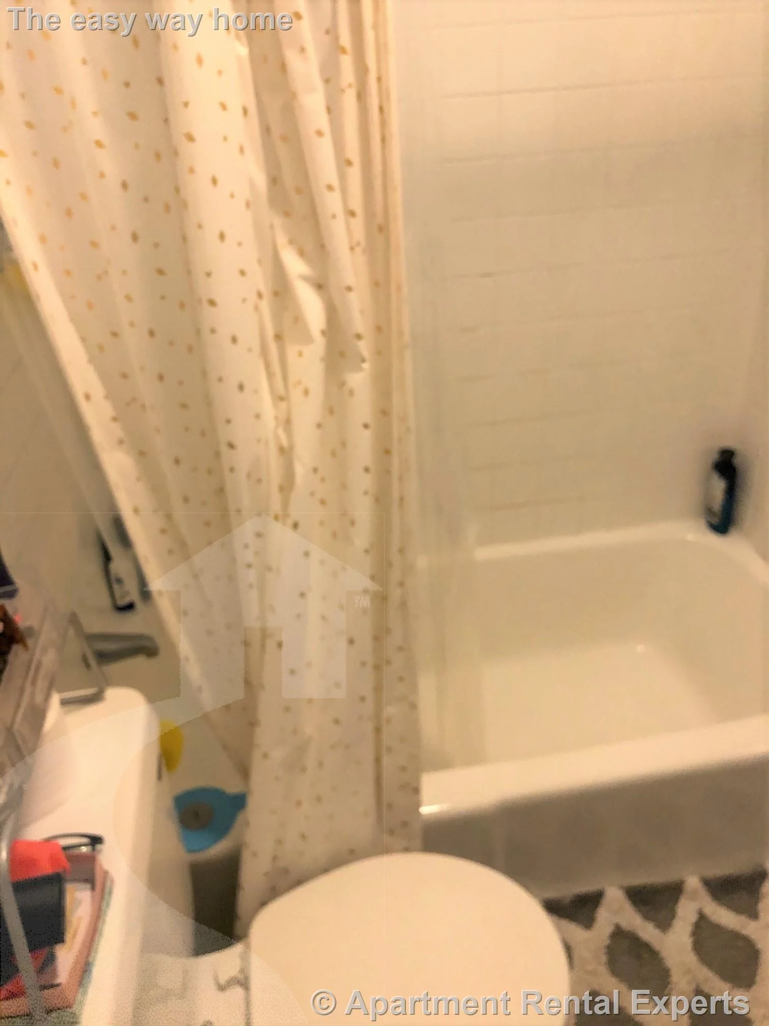 1 bed, 1 bath apartment for rent at 1139 Broadway Unit 7, Teele Square — photo 6 of 7