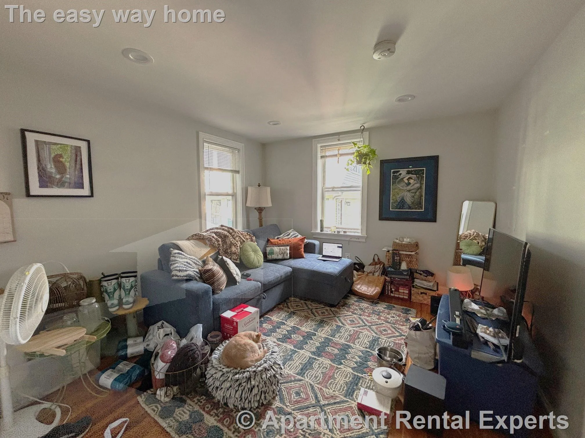1 bed, 1 bath apartment for rent at 1139 Broadway Unit 7, Teele Square — photo 2 of 7