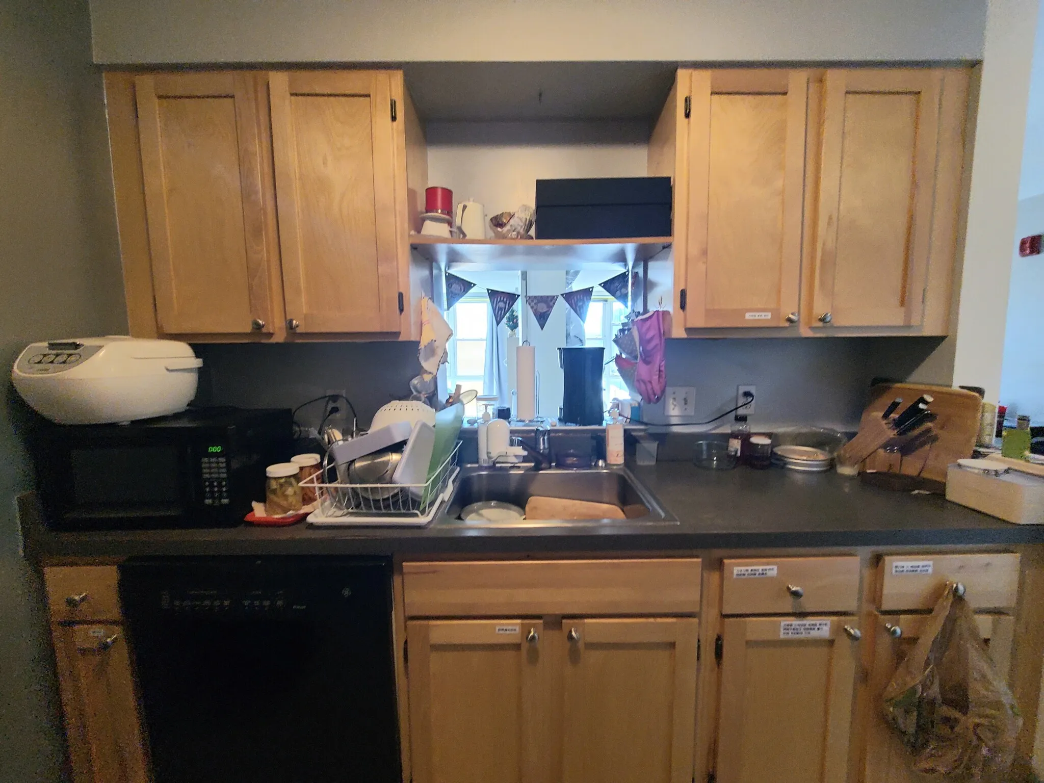 1 bed, 1 bath apartment for rent at 114 Sumner St Unit 44, East Boston — photo 2 of 19