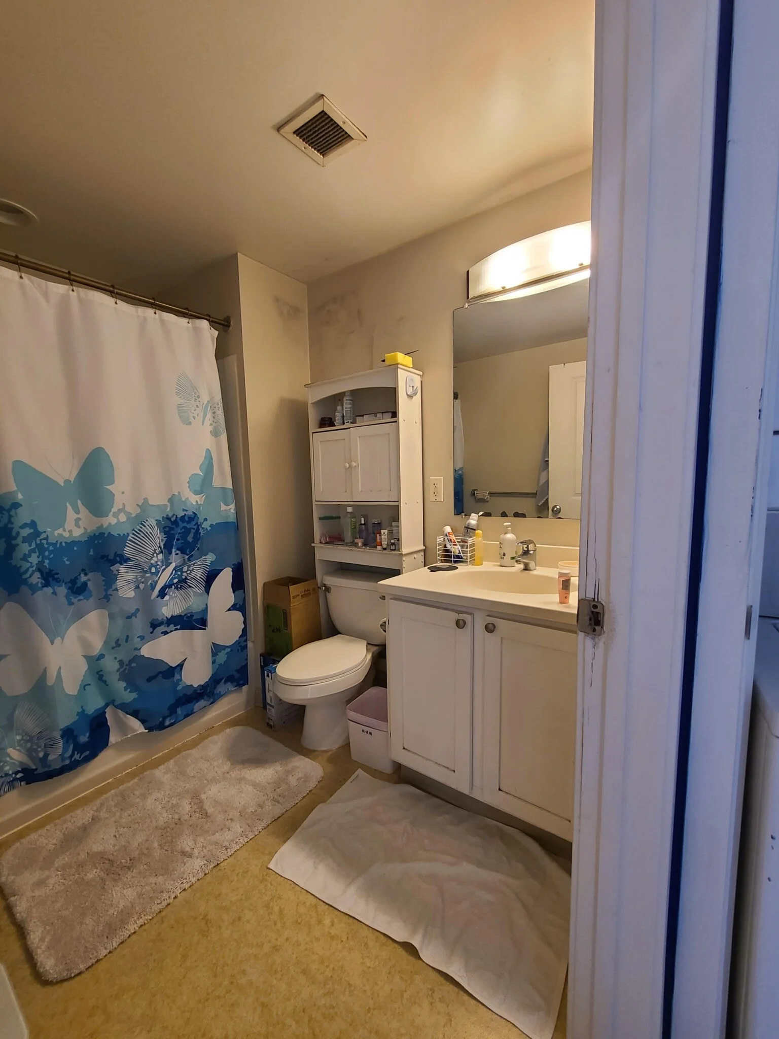 1 bed, 1 bath apartment for rent at 114 Sumner St Unit 44, East Boston — photo 15 of 19