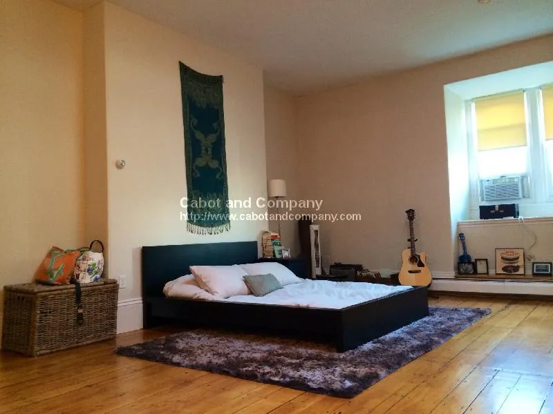 Studio bed, 1 bath apartment for rent at 115 Beacon St Unit 11A, Back Bay — photo 1 of 6