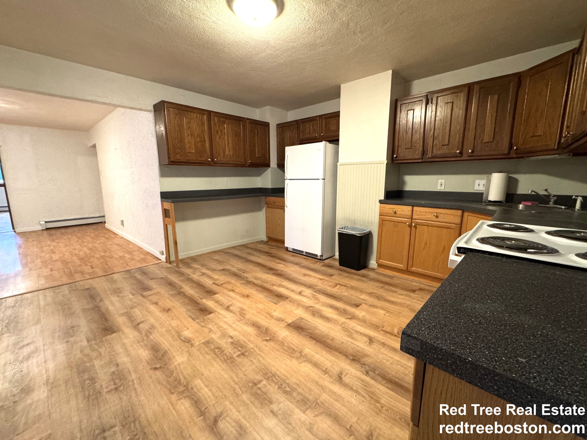 1 bed, 1 bath apartment for rent at 115 Eutaw St Unit 1, East Boston — photo 3 of 20