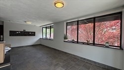 2 bed, 1 bath apartment for rent at 115 Highland Ave Unit 14, Winter Hill — photo 30 of 31