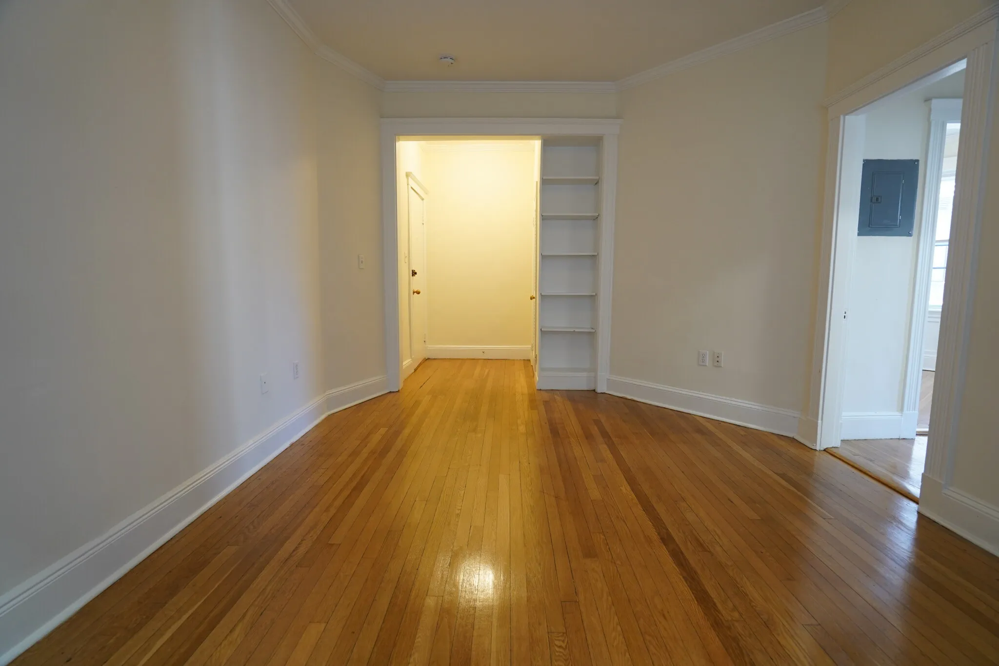 1 bed, 1 bath apartment for rent at 115 Kilsyth Rd Unit 2, Brighton — photo 3 of 15