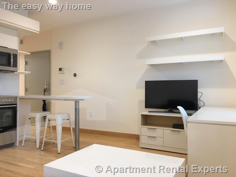 1 bed, 1 bath apartment for rent at 115 Mount Auburn St Unit 13, Harvard Square — photo 2 of 9