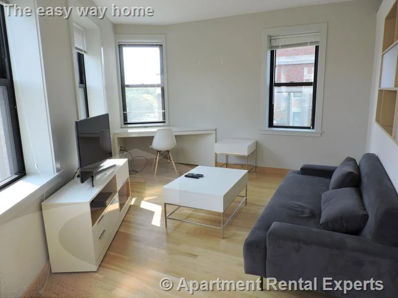 1 bed, 1 bath apartment for rent at 115 Mt Auburn St Unit 21, Harvard Square — photo 4 of 10