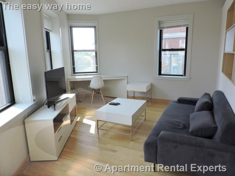 1 bed, 1 bath apartment for rent at 115 Mount Auburn St Unit 21, Harvard Square — photo 4 of 10