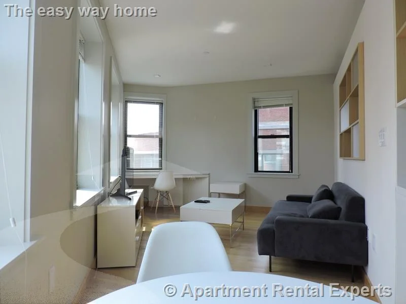1 bed, 1 bath apartment for rent at 115 Mt Auburn St Unit 21, Harvard Square — photo 3 of 10