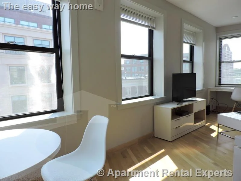 1 bed, 1 bath apartment for rent at 115 Mt Auburn St Unit 21, Harvard Square — photo 2 of 10