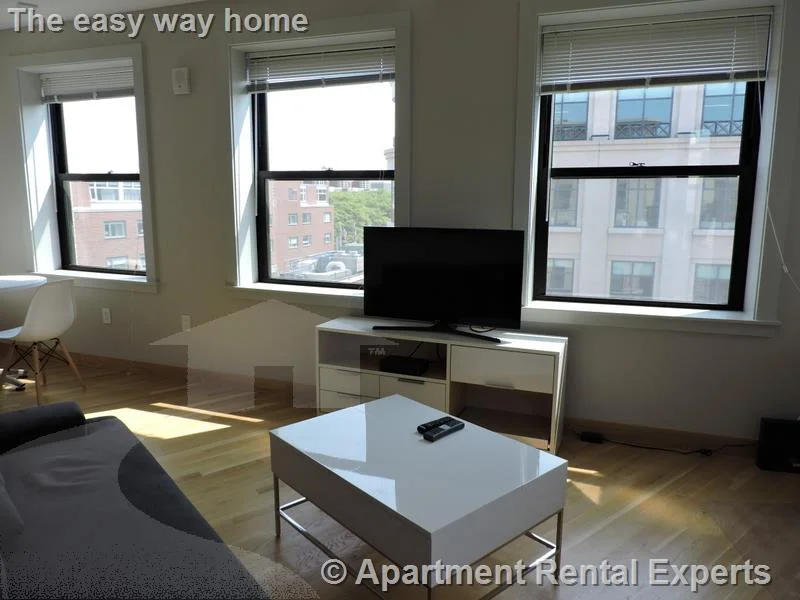 1 bed, 1 bath apartment for rent at 115 Mt Auburn St Unit 21, Harvard Square — photo 6 of 10