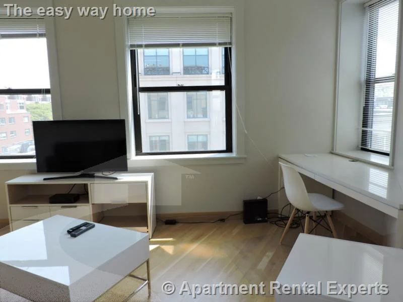 1 bed, 1 bath apartment for rent at 115 Mt Auburn St Unit 21, Harvard Square — photo 5 of 10