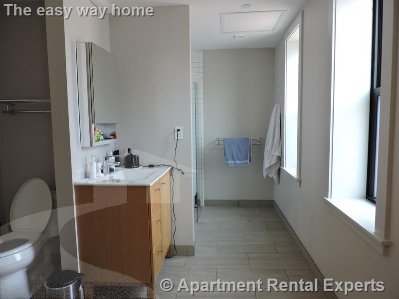 1 bed, 1 bath apartment for rent at 115 Mount Auburn St Unit 25, Harvard Square — photo 10 of 13