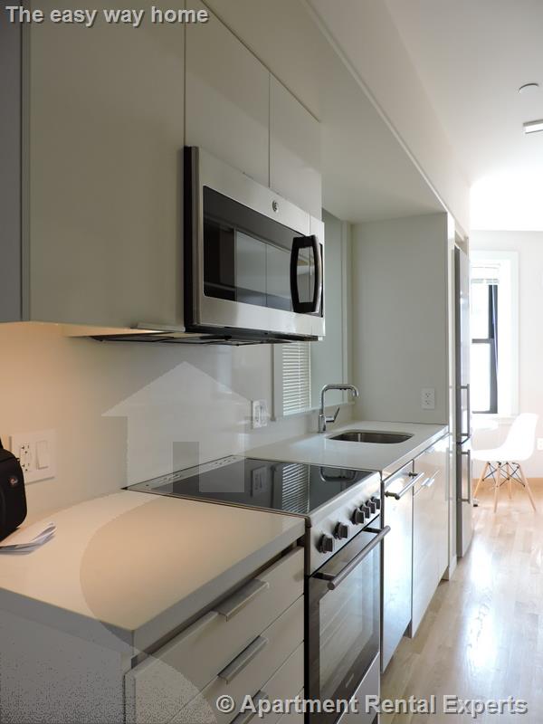 1 bed, 1 bath apartment for rent at 115 Mount Auburn St Unit 31, Harvard Square — photo 1 of 12