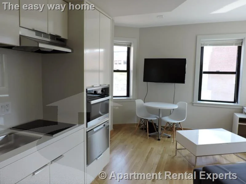 1 bed, 1 bath apartment for rent at 115 Mt Auburn St Unit 35, Harvard Square — photo 2 of 11