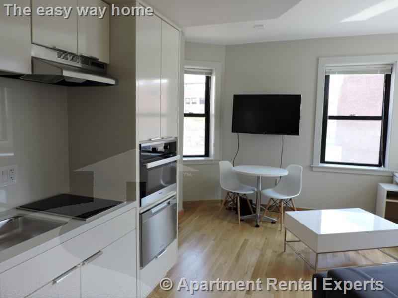 1 bed, 1 bath apartment for rent at 115 Mount Auburn St Unit 35, Harvard Square — photo 2 of 11